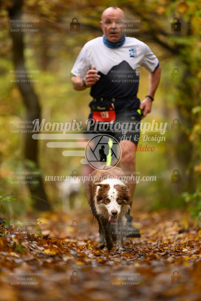 MompixPhotography_CD7S_DI_CCL-81 | mompixphotography