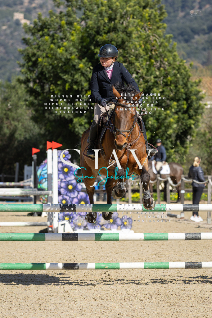 IMG_6508 | s-jay-photography - Realisiert mit Pictrs.com