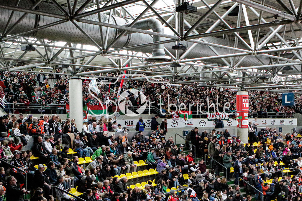 Löwen Frankfurt - Augsburger Panther | Die Fans der Augsburger sind in ordentlicher Anzahl mit nach Frankfurt gekommen