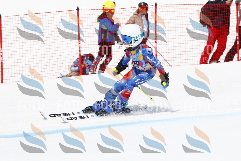 _U3G4769 | holidayphoto