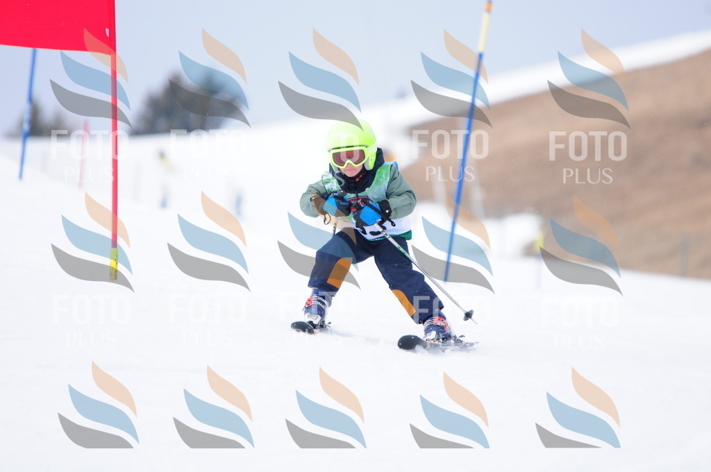 A3484 | holidayphoto