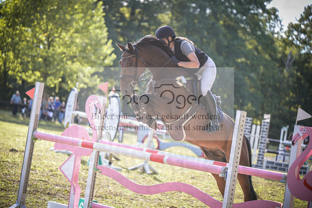 DOS_0632 | Entdecke hochwertige Reitturnierfotos von Foto Oger. Professionell, emotional und authentisch – jetzt Lieblingsmomente im Shop bestellen.Deutschlandweite Turnierfotografie. - Realisiert mit Pictrs.com