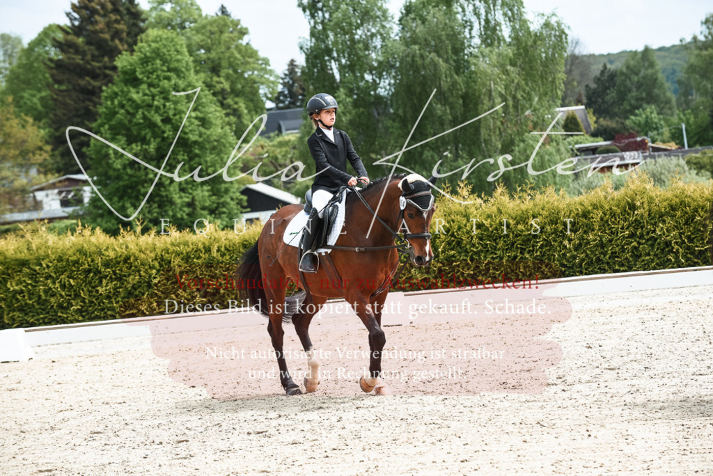 20230518_JK-Röhrsdorf-11-0082 | Pferde- und Turnierfotografie in Westsachsen. Pferdeportraits, Auftragszeichnungen und intuitive Kunst.
