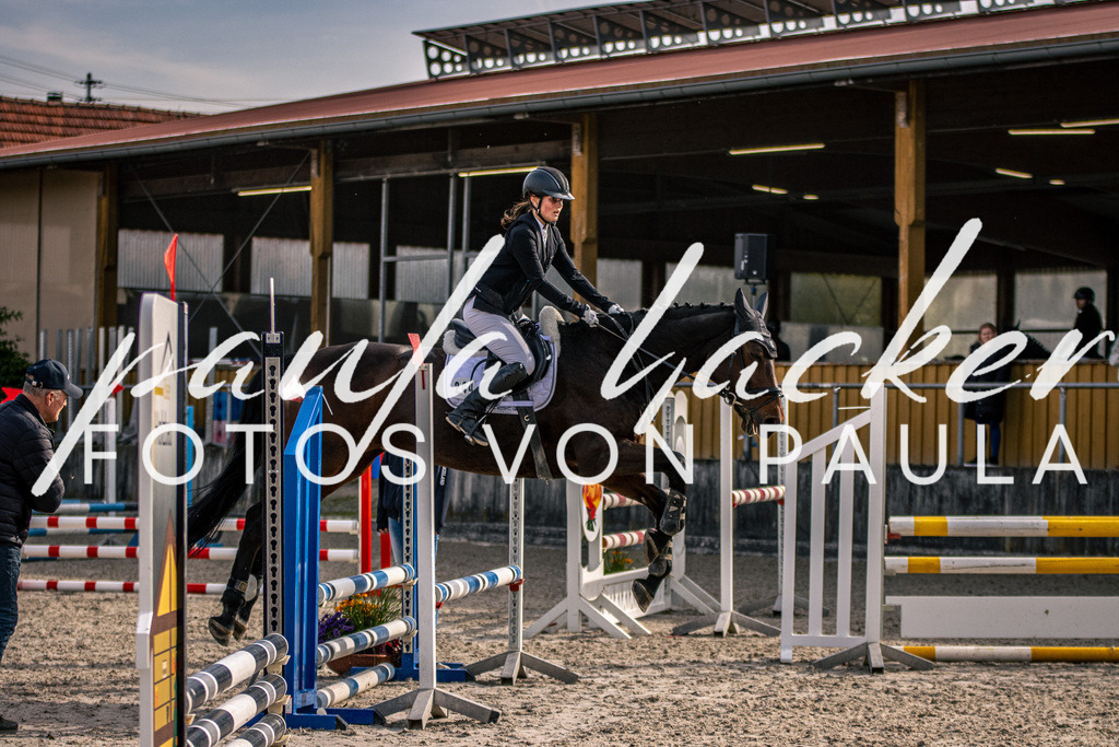 IMG_5453 | Erleben Sie dynamische Sport- und emotionale Tierfotografie in Süddeutschland mit Fotos von Paula. Spezialisiert auf Pferde- und Hundefotografie sowie Sportevents. Kontaktieren Sie mich für einzigartige und ausdrucksstarke Bilder Ihrer besonderen Momente.