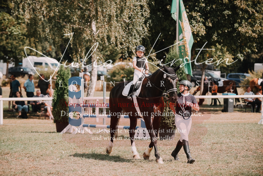 DSC_6227 | Pferde- und Turnierfotografie in Westsachsen. Pferdeportraits, Auftragszeichnungen und intuitive Kunst.