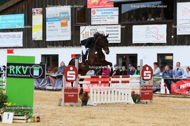 OHT2171 | Fotografie, Tiere, Hunde, Katzen, Pferde, Sportfotografie, Fotosession, Tierfotografie, Turnierfotografie, Fotografin, Fotograf - Realisiert mit Pictrs.com