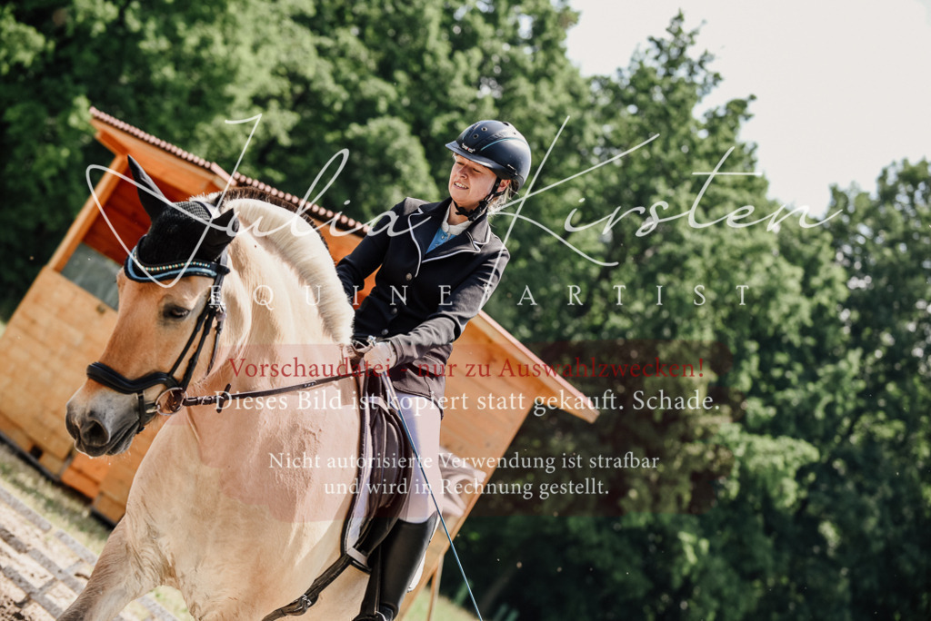 DSC_1658 | Pferde- und Turnierfotografie in Westsachsen. Pferdeportraits, Auftragszeichnungen und intuitive Kunst.