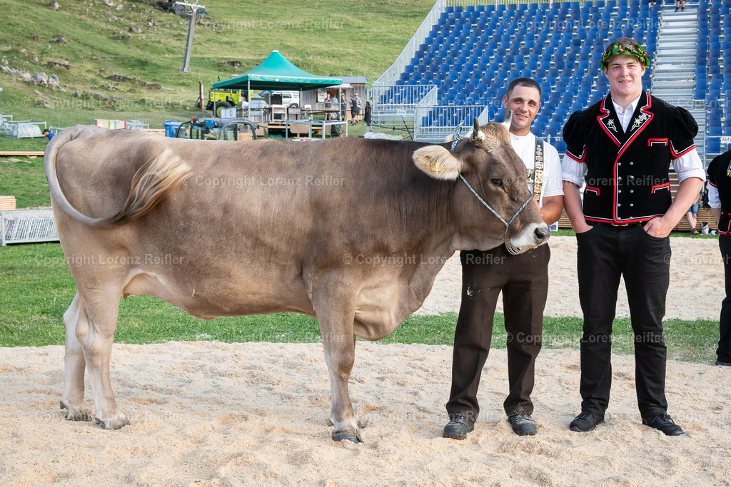 Schwingen -  Schwägalpschwinget 2023 | Schwägalp, 20.8.23, Schwingen - Schwägalpschwinget.