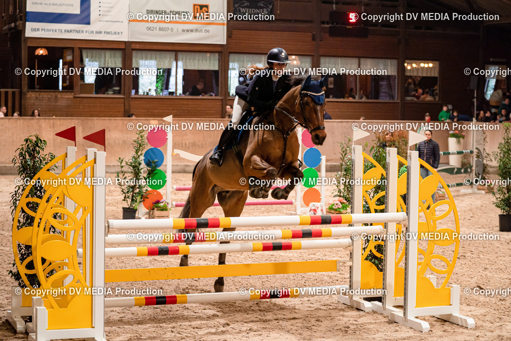 Springen Tag 2-616 | dv-media-shop - Realisiert mit Pictrs.com