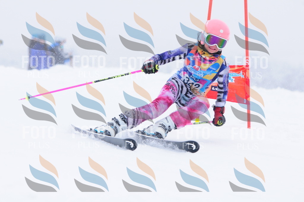 C3669 | holidayphoto