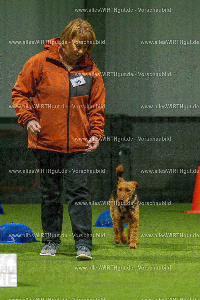 7R509202 | Professionelle Tierfotografie in Mönchengladbach von Daniel Wirth (allesWIRTHgut). Liebevolle & natürliche Bilder von Hunden & Katzen für unvergessliche Erinnerungen.