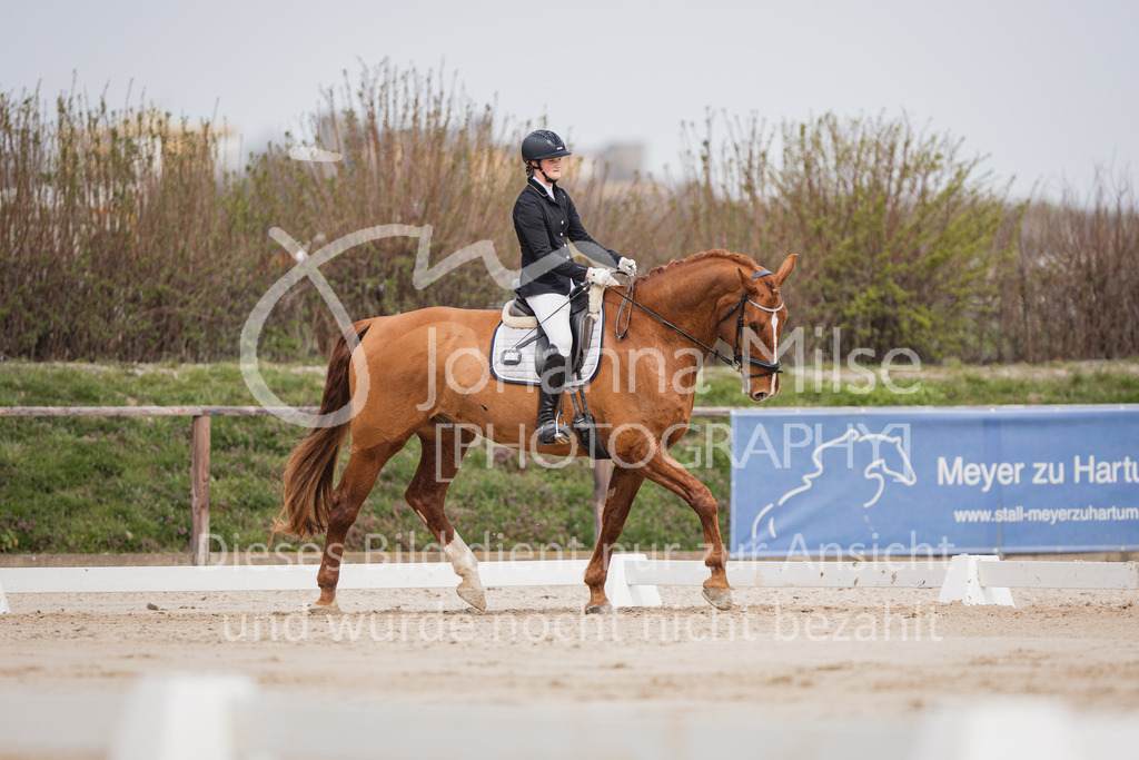 230410_Frühlingsfest_A-Dressur-408 | Deine schönsten Turniermomente als professionelle Fotos! Entdecke hochwertige Pferdesport-Fotografie im Online-Shop. Jetzt Fotos finden & bestellen!