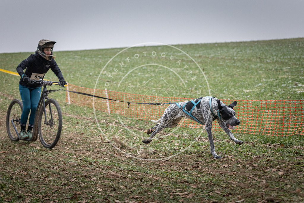 Pfotenfotografie_DV3A1209 | Hundefotografie, Tierfotograf, Pfotenfotografie, Fotoshooting Hund, Hunde Portrait, Hundesport, Hundeportraits, Heideshooting, Hunde, Sportfotograf, Hundefotograf, Turnierhundsport, THS,  - Realisiert mit Pictrs.com