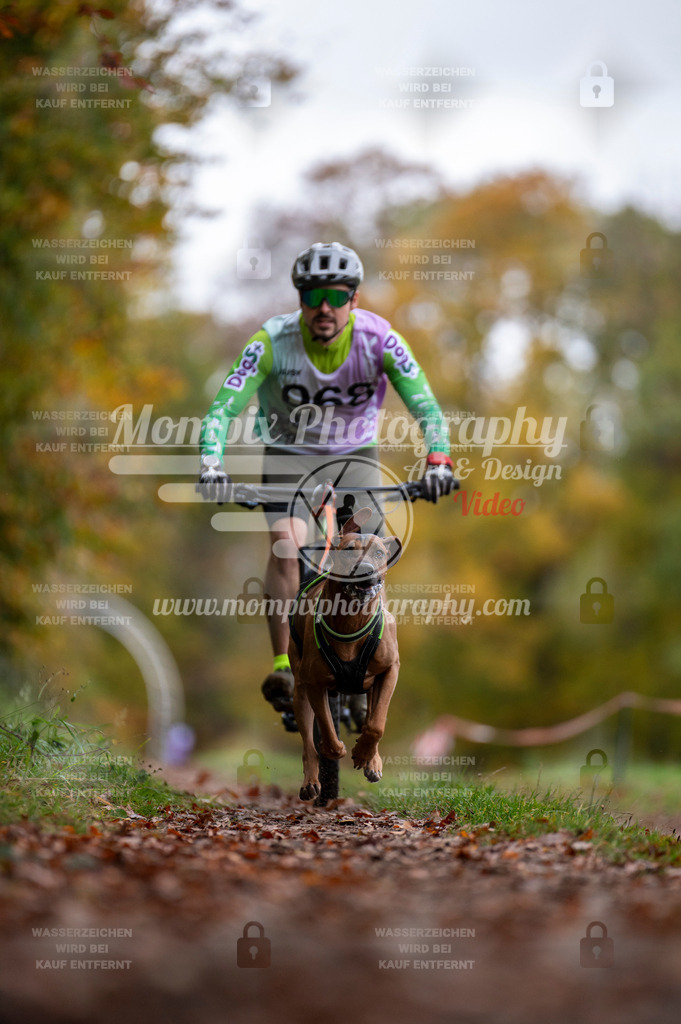 DBT_DAKM_SA_4_11_2023_Bike-49 | PayLife