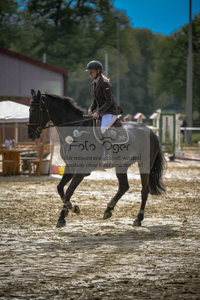 20240505-DOS_2882 | Entdecke hochwertige Reitturnierfotos von Foto Oger. Professionell, emotional und authentisch – jetzt Lieblingsmomente im Shop bestellen.Deutschlandweite Turnierfotografie. - Realisiert mit Pictrs.com