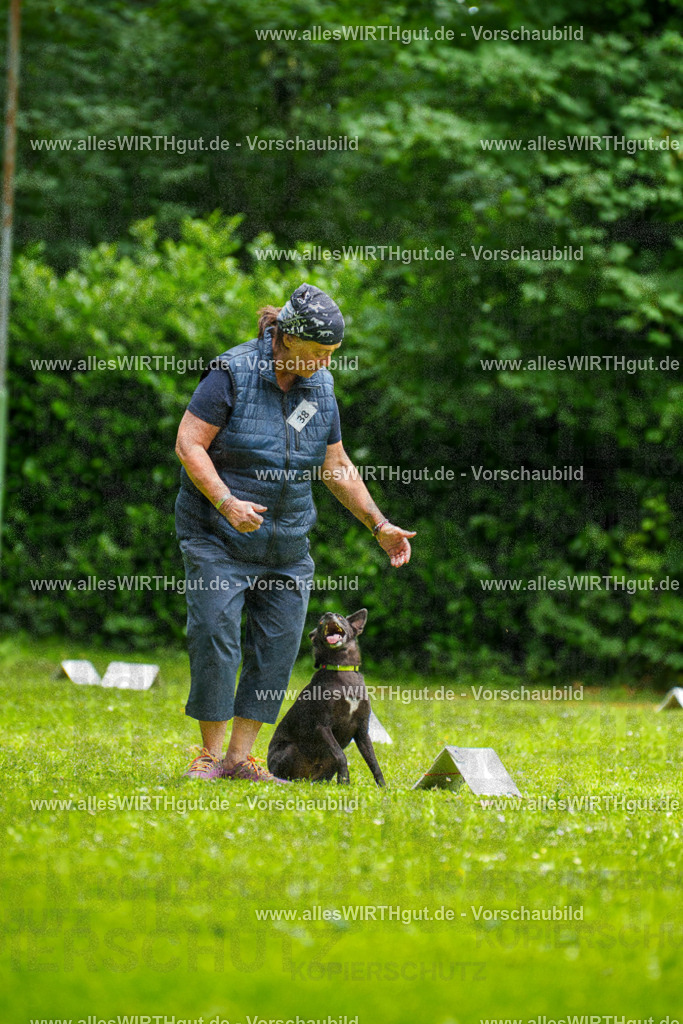@allesWIRTHgut_Tierfotografie - www.allesWIRTHgut.de - 124311-7R509352 | Professionelle Tierfotografie in Mönchengladbach von Daniel Wirth (allesWIRTHgut). Liebevolle & natürliche Bilder von Hunden & Katzen für unvergessliche Erinnerungen.