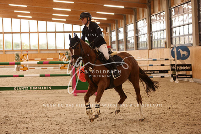 1J2A7914Francie Siegmund_ Heidi 682_ Kn277_ Glantz_ Hohen Wieschendorf | Foto- und Videografie für alles rund ums Pferd. Hochwertige Bilder und Videos vom Spring- und Dressurreiten, Voltigieren & mehr. Jetzt aktuelle Veranstaltungen und Preise im Shop ansehen. - Realisiert mit Pictrs.com
