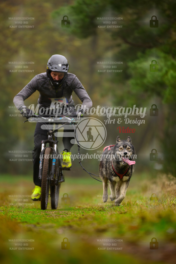 MompixPhotography_Bischwiller2025_Bike-76 | mompixphotography