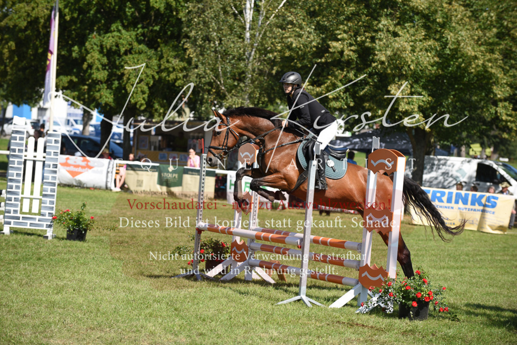 DSC_9334 | Pferde- und Turnierfotografie in Westsachsen. Pferdeportraits, Auftragszeichnungen und intuitive Kunst.