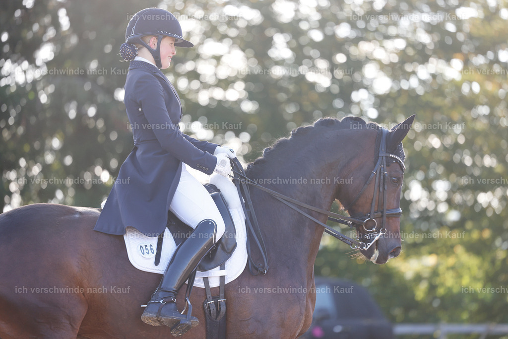 09_1-056-DRESSUR  S_  -StoibPH-5449 | working equitationturnier fotograf videograf stoibphotography marixx film working equitation deutschland reitsport turnierfotografie eventfotografie equestrian events