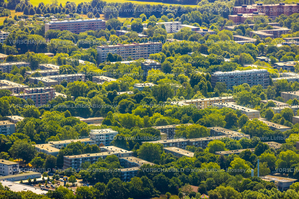 Dortmund220704187 | Luftbild, Wohngebiet zwischen Flughafenstraße und Werzenkamp, grüne Bäume, Scharnhorst-Ost, Dortmund, Ruhrgebiet, Nordrhein-Westfalen, Deutschland