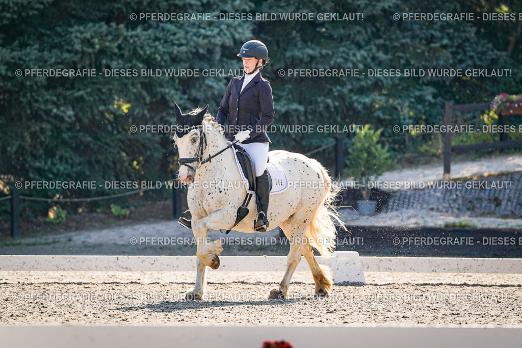 DSC09411 | Pferdegrafie