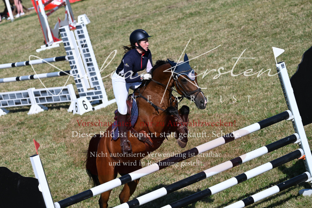 DSC_2436 | Pferde- und Turnierfotografie in Westsachsen. Pferdeportraits, Auftragszeichnungen und intuitive Kunst.