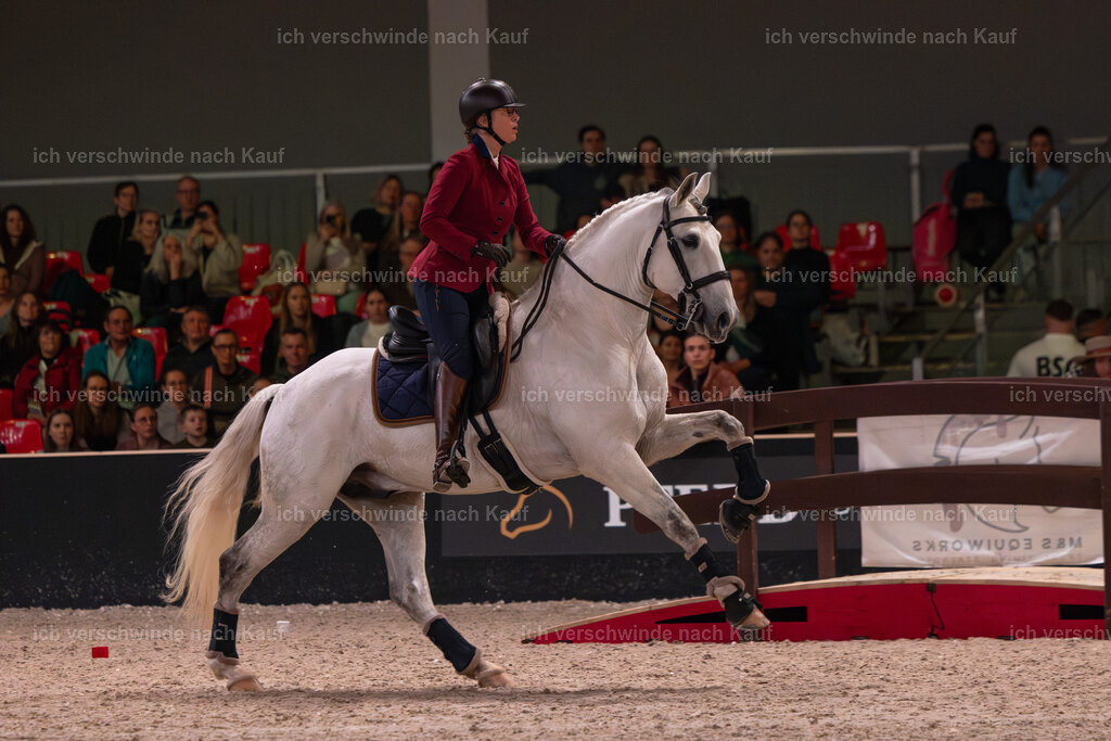 JoseraCup-170 | working equitationturnier fotograf videograf stoibphotography marixx film working equitation deutschland reitsport turnierfotografie eventfotografie equestrian events