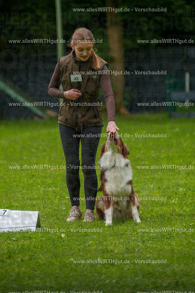 @allesWIRTHgut_Tierfotografie - www.allesWIRTHgut.de - 7R500532 | Professionelle Tierfotografie in Mönchengladbach von Daniel Wirth (allesWIRTHgut). Liebevolle & natürliche Bilder von Hunden & Katzen für unvergessliche Erinnerungen.
