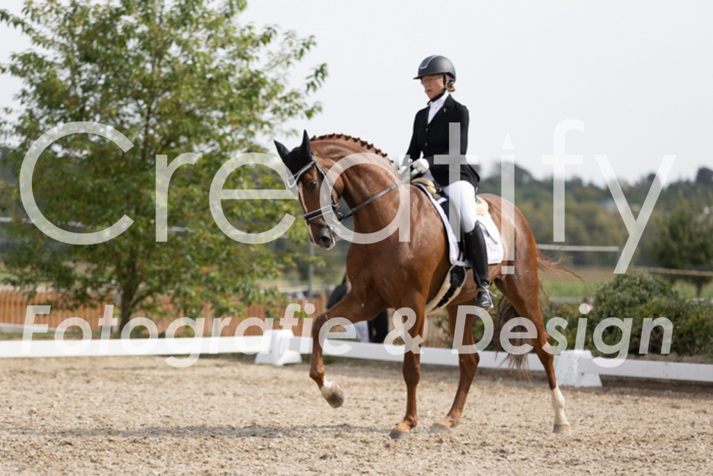 IMG_4218 | Creatify Fotografie