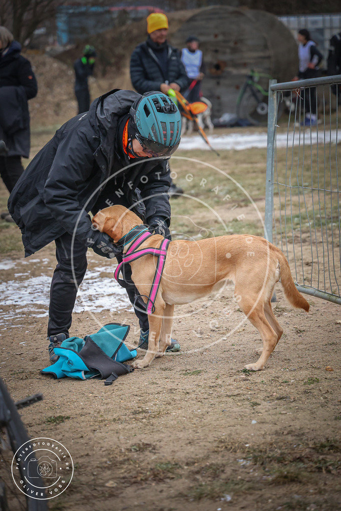 Pfotenfotografie_0L8A2178 | Hundefotografie, Tierfotograf, Pfotenfotografie, Fotoshooting Hund, Hunde Portrait, Hundesport, Hundeportraits, Heideshooting, Hunde, Sportfotograf, Hundefotograf, Turnierhundsport, THS,  - Realisiert mit Pictrs.com