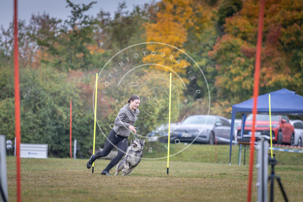 Pfotenfotografie_DV3A0902 | Hundefotografie, Tierfotograf, Pfotenfotografie, Fotoshooting Hund, Hunde Portrait, Hundesport, Hundeportraits, Heideshooting, Hunde, Sportfotograf, Hundefotograf, Turnierhundsport, THS,  - Realisiert mit Pictrs.com