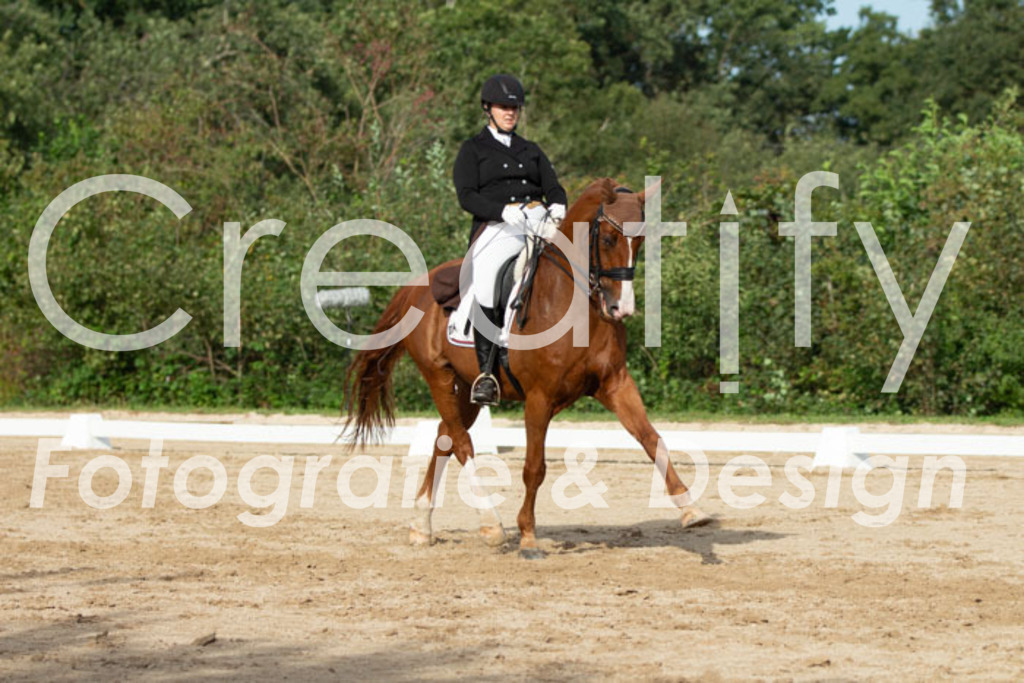 IMG_4602 | Creatify Fotografie