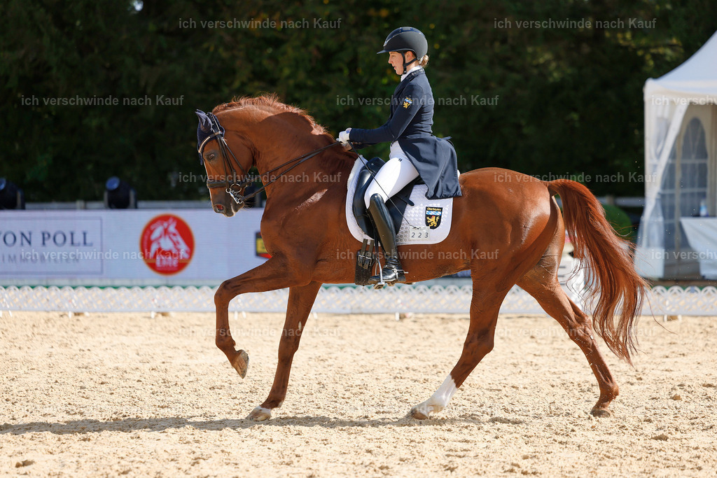 09_2-223-DRESSUR  S_  -StoibPH-5803 | working equitationturnier fotograf videograf stoibphotography marixx film working equitation deutschland reitsport turnierfotografie eventfotografie equestrian events