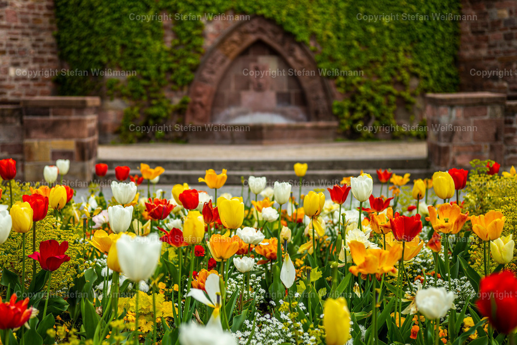 Monat 04 Kalender 2024 | Brunnen Willy Brandt Ring - Realisiert mit Pictrs.com