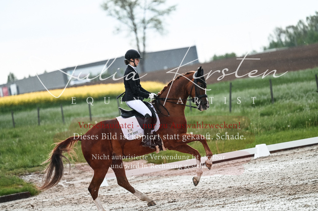 DSC_4302 | Pferde- und Turnierfotografie in Westsachsen. Pferdeportraits, Auftragszeichnungen und intuitive Kunst.