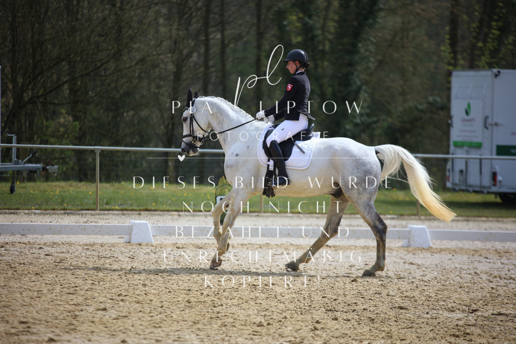 IMGT4846 | pl-fotografie