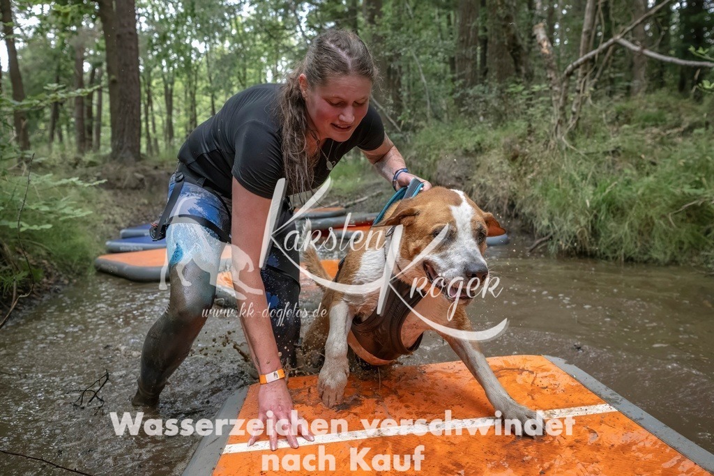 0847_ZZ99706T | kk-dogfotos