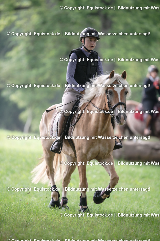 20250726_Vielseitigkeitslehrgang-Marbach_0007 | Foto: Thomas Hartig