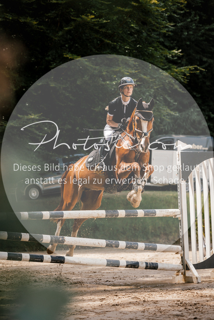 3I6A7954 | Stimmungsvolle Portraits und Reitsportfotografie im Ruhrgebiet und im Münsterland.

Pferdefotografie, Hundefotografie, Tierfotografie, Reportagen, Portraits von Tier und Mensch, Turnierfotografie in Bochum, Recklinghausen, Marl, Haltern am See, Dülmen.. - Realisiert mit Pictrs.com