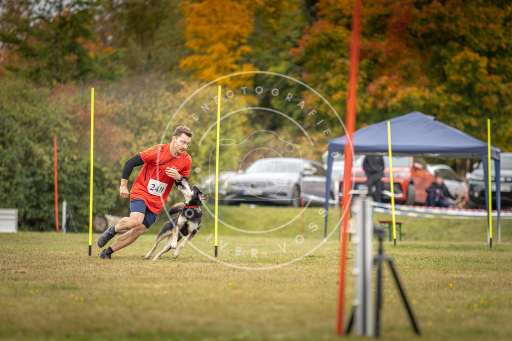 Pfotenfotografie_DV3A5400 | Hundefotografie, Tierfotograf, Pfotenfotografie, Fotoshooting Hund, Hunde Portrait, Hundesport, Hundeportraits, Heideshooting, Hunde, Sportfotograf, Hundefotograf, Turnierhundsport, THS,  - Realisiert mit Pictrs.com