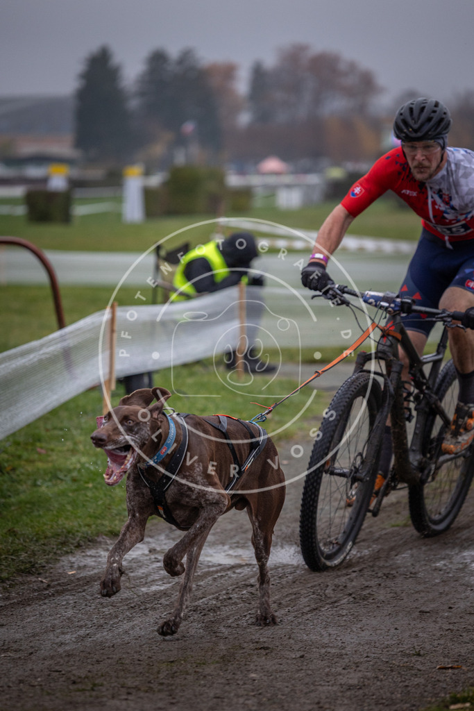 CaniXpix_0L8A1091 | Hundefotografie, Tierfotograf, Pfotenfotografie, Fotoshooting Hund, Hunde Portrait, Hundesport, Hundeportraits, Heideshooting, Hunde, Sportfotograf, Hundefotograf, Turnierhundsport, THS,  - Realisiert mit Pictrs.com