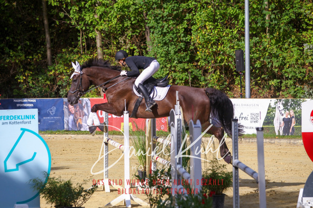 DKP42414 | Turniersportfotografie; Pferdefotografie; Dressurfotografie