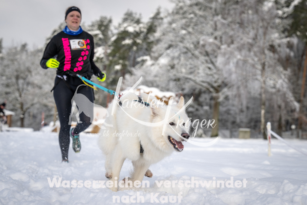 0852_ZZ92584 | kk-dogfotos