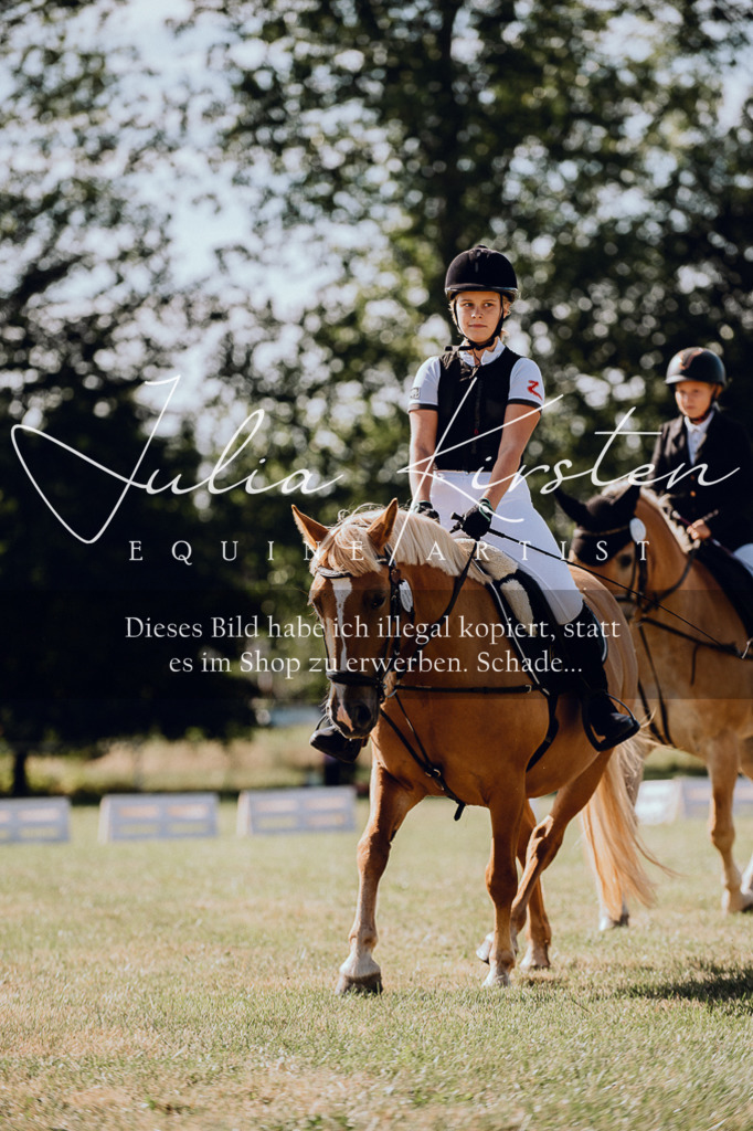 DSC_7053 | Pferde- und Turnierfotografie in Westsachsen. Pferdeportraits, Auftragszeichnungen und intuitive Kunst.