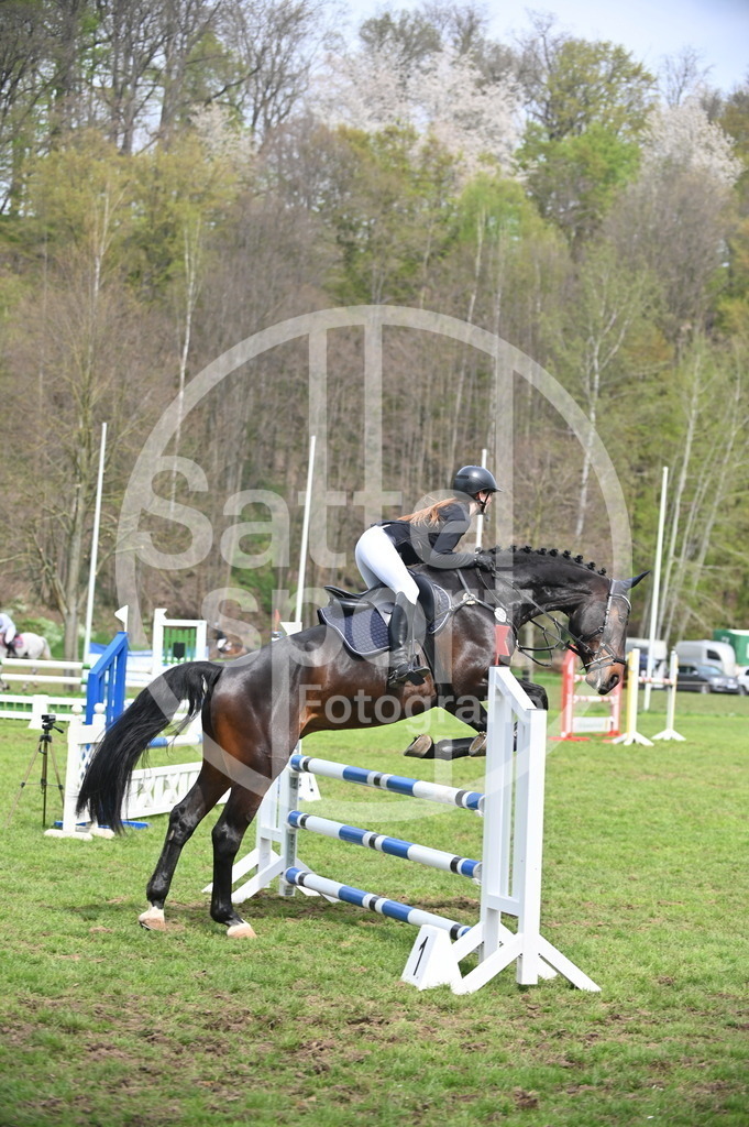 DSC_1702 | sattelsport - Realisiert mit Pictrs.com