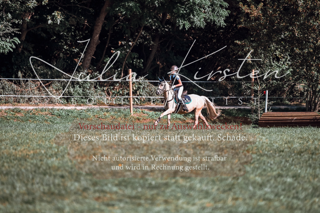 DSC_1063 | Pferde- und Turnierfotografie in Westsachsen. Pferdeportraits, Auftragszeichnungen und intuitive Kunst.