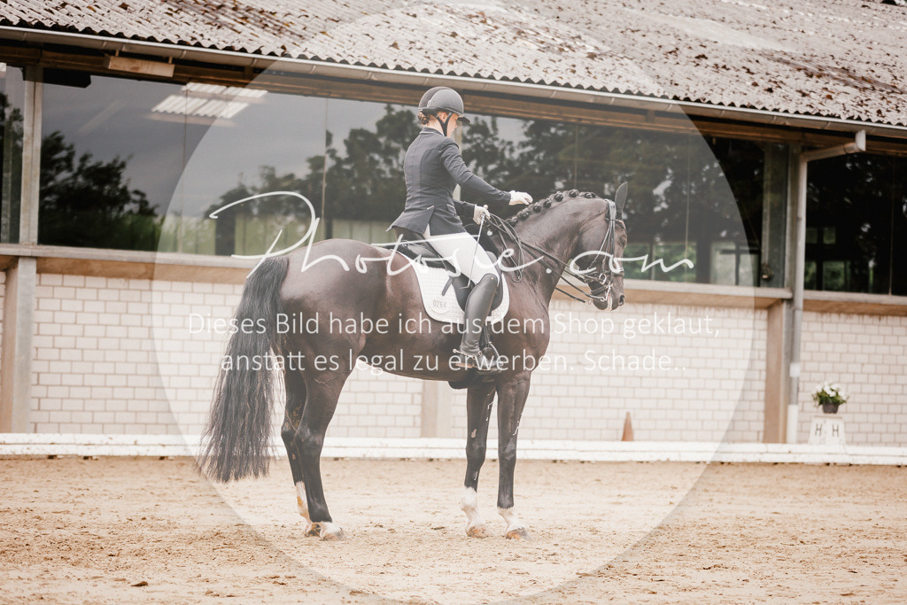 3I6A7695 | Stimmungsvolle Portraits und Reitsportfotografie im Ruhrgebiet und im Münsterland.

Pferdefotografie, Hundefotografie, Tierfotografie, Reportagen, Portraits von Tier und Mensch, Turnierfotografie in Bochum, Recklinghausen, Marl, Haltern am See, Dülmen.. - Realisiert mit Pictrs.com