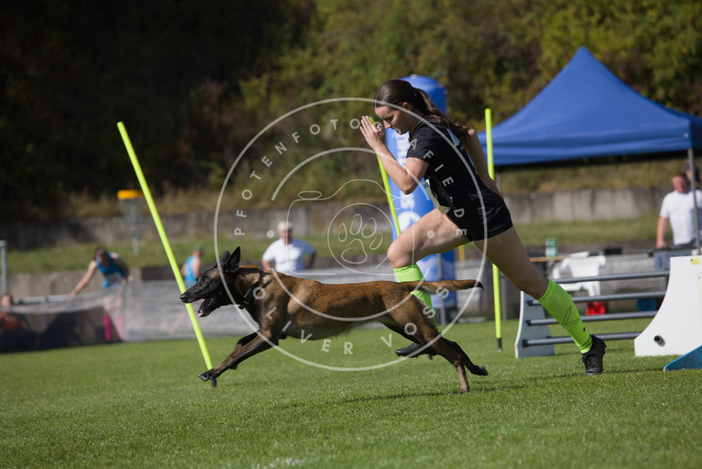 0L8A7506 | Hundefotografie, Tierfotograf, Pfotenfotografie, Fotoshooting Hund, Hunde Portrait, Hundesport, Hundeportraits, Heideshooting, Hunde, Sportfotograf, Hundefotograf, Turnierhundsport, THS,  - Realisiert mit Pictrs.com