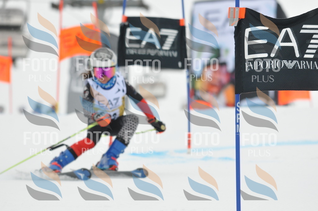 DSC_8228 | holidayphoto